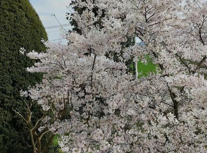 Bed & Breakfast La Quercia Di Mery 3*